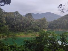 -广州市流溪河国家森林公园