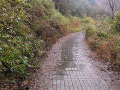 -遥桥古堡