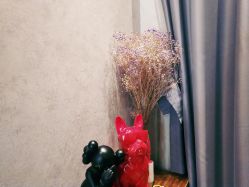 -BOF HAIR BY HONTO