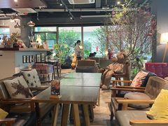 -咖法森林·咖啡  酒吧(天河店)