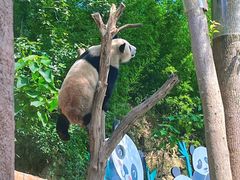 -乐和乐都主题乐园