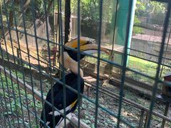 -吉隆坡雀鸟公园