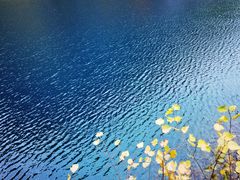 -叠溪松坪沟景区