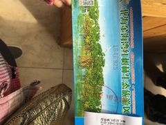 -北海金海湾红树林生态旅游区