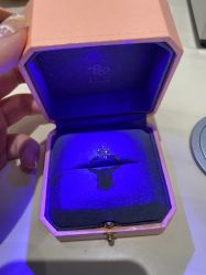 -钻石小鸟钻戒婚戒定制(石路店)