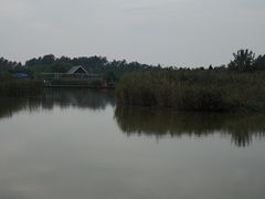 -盐城丹顶鹤湿地生态旅游区