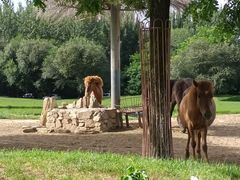 -北京野生动物园
