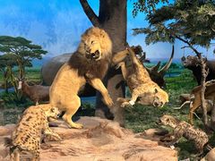 -国家自然博物馆