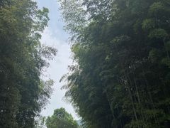 -穹窿山景区