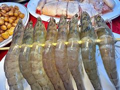 -花苑美食横琴生蚝火锅(拱北粤华路店)
