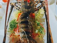-越海渔村