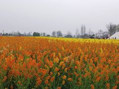 -中国天府农业博览园