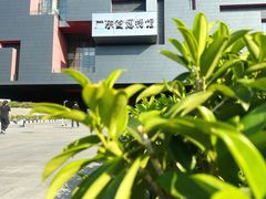 -广东省博物馆