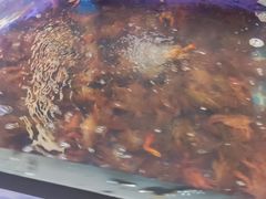 -永旺梦乐城(经开店)