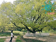 景点-沈阳植物园