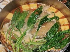 -蝎王府羊蝎子(北大地店)