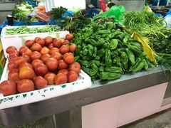 -科巷菜场