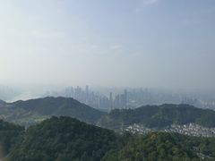 -大金鹰园