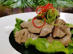 -外滩1288花园丽舍