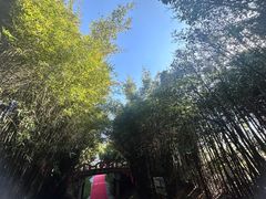 -太阳岛度假酒店