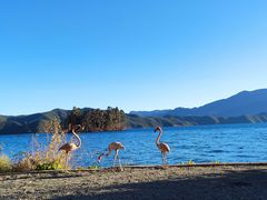 -丽江泸沽湖景区