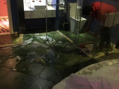 -天鹅恋主题酒店(积玉桥地铁站店)