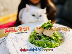 -自如ZSPACE四合院艺术餐厅