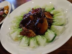 -乔家栅(襄阳南路店)