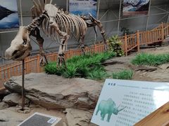 -中国第四纪冰川遗迹陈列馆