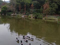 -云溪植物园