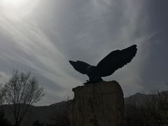 -北京鹫峰国家森林公园