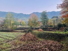 -塔川景区