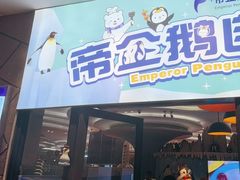 -帝企鹅自助餐厅•儿童岛•真企鹅(长隆企鹅酒店)