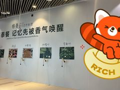 -上海K11购物艺术中心