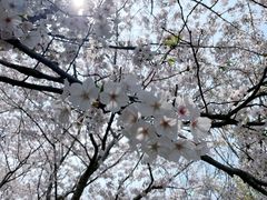 -自然谷恐龙园