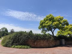 -圣露庄园·亲子活动乐园·露营·团建婚礼