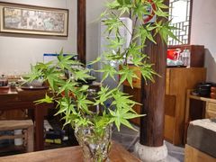 -月栖华明-云间草堂清茶馆(泗泾古镇店)