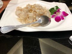 -新南华大酒店(广中店)