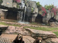 -海南热带野生动植物园
