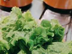-龍歌自助小火锅(市南金茂湾店)