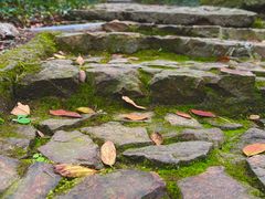 -上海佘山国家森林公园天马山园