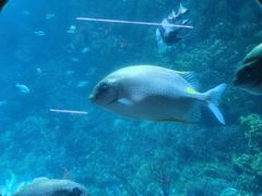 -海合安青岛极地海洋公园