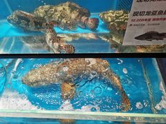 -盒马鲜生(曜一城店)
