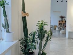 -收获咖啡HARVEST RESERVE(苍山店)