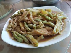 -开心庄园