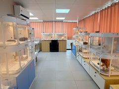 -翊宠yipet猫狗购宠庄园犬舍•猫舍