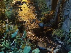 -栾川竹海野生动物园