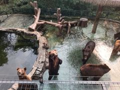 -深圳野生动物园