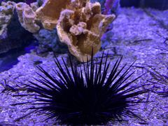 -太平洋海底世界