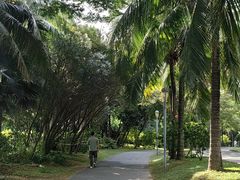 -深圳湾公园(南山区)